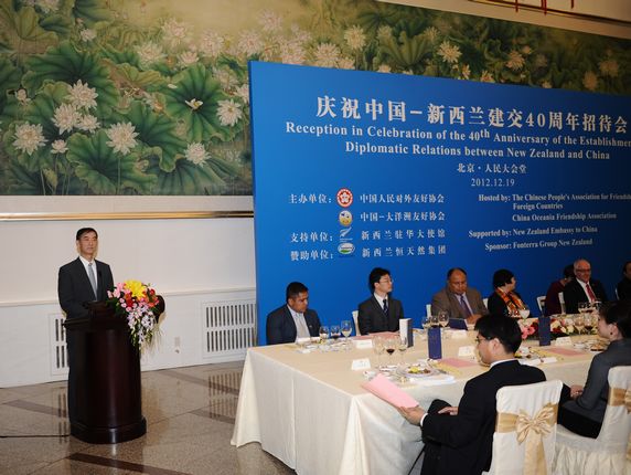 Vice President Li Jianping addressing the reception